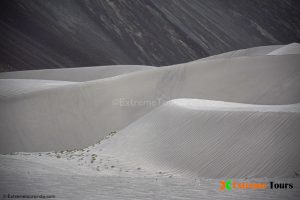 Nubra valley, Cold Desert