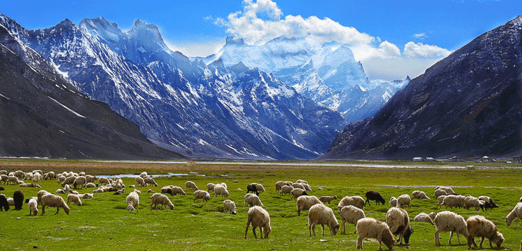 Zanskar valley, ladakh