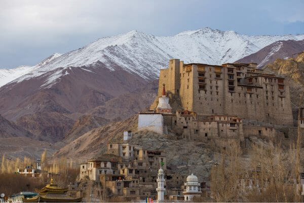 Leh palace / Leh fort